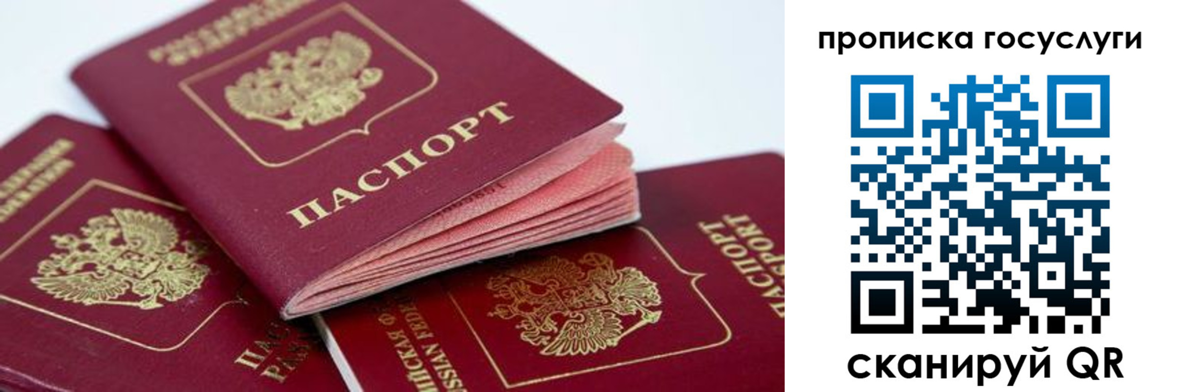 прописка штамп в Калуге